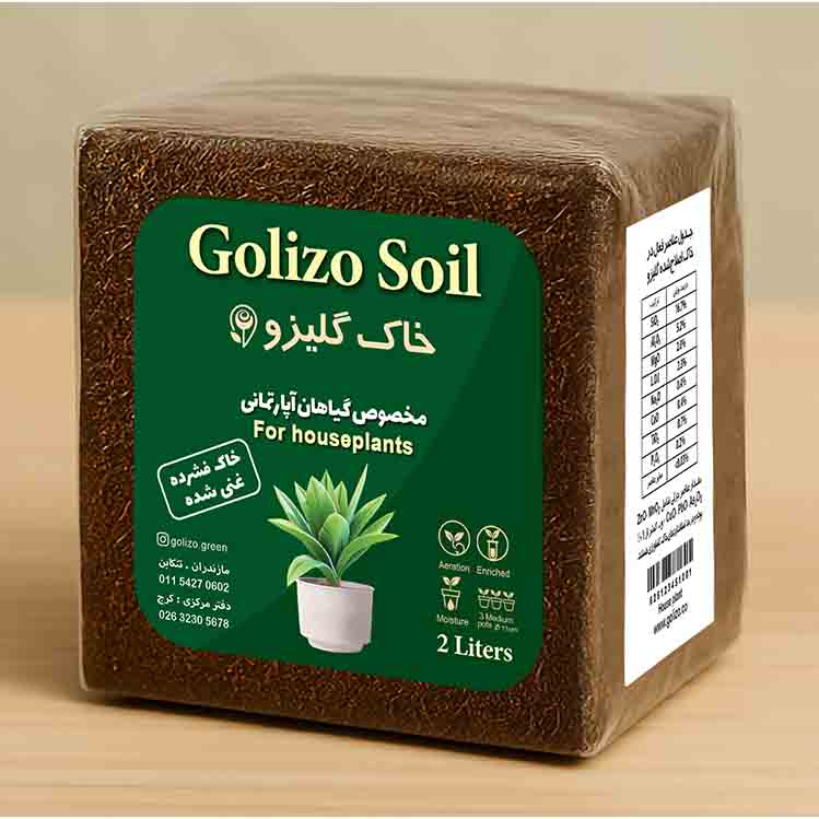 خاک گیاهان آپارتمانی